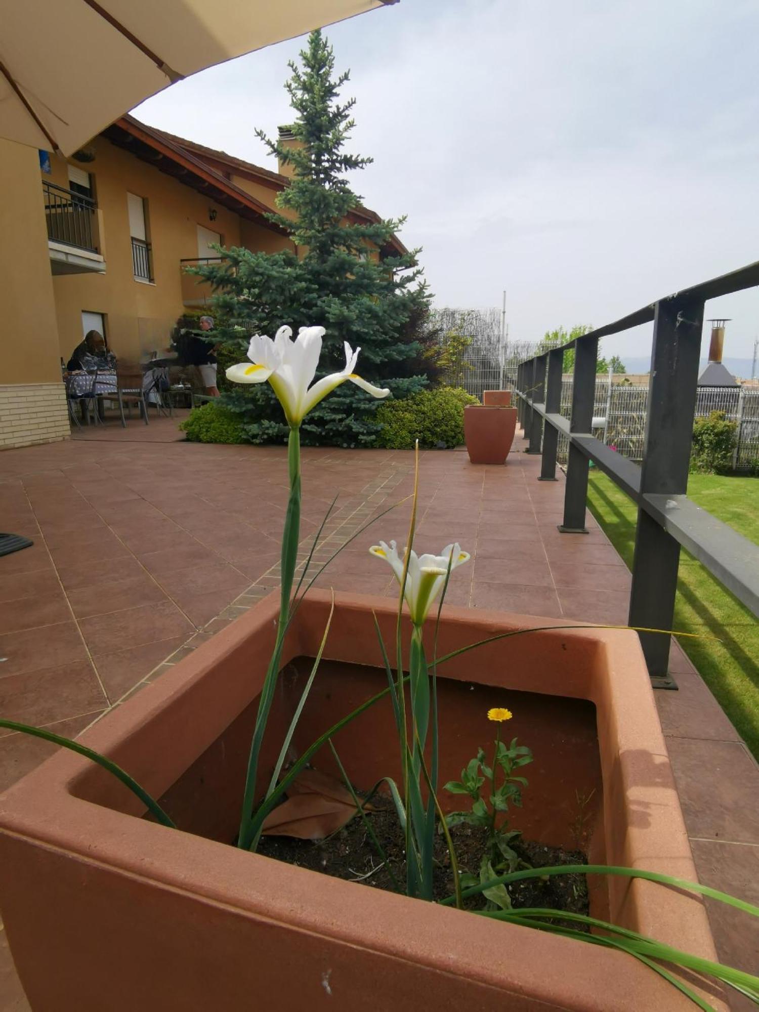 Estancia Con Jardin Entre Golf Y Monte - Cerca Logrono Sojuela 外观 照片